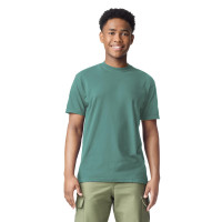 Colores de comodidad TEE de manga corta para adultos, estilo G1717, verde claro (1 paquete), grande