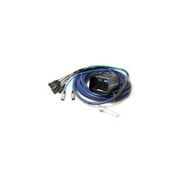 Whirlwind 25 'Box para ventilador de datos de datos Medusa con piel de serpiente/bolsa de cerdo, 6 xlr entradas, 2 Cat6 Ethercon