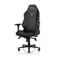 SecretLab Titan Evo STEALTH GAMING SIELLA - Silla de computadora reclinable, ergonómica y cómoda con reposabrazos 4D, almohada de cabeza magnética y soporte lumbar de 4 vías - Negro - Cuteretette