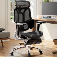Hbada E3 Silla de Oficina Ultra Ergonómica, Sillas de Oficina Grandes y Altas - con Soporte Lumbar Dinámico de 3 Zonas, Apoyabrazos Mecánicos de 360°, Reposacabezas Ajustable 4D, Aleación de Aluminio, Malla Premium, Negro