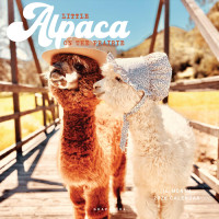 Graphique 2026 Calendario de pared Pequeña Alpaca en la Pradera | 12” x 12” | Papel grueso | Organizador para el hogar y la oficina | Cuadrícula mensual grande | 3 idiomas y días festivos marcados | Página de vista previa de 4 meses para 2027