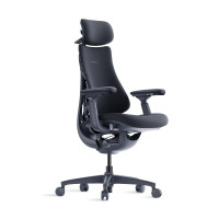 LiberNovo Silla de Oficina Ergonómica Dinámica - Cómoda Silla de Escritorio Ajustable con Soporte Lumbar Adaptable, Reclinación de 160° y Estiramiento de la Columna Incorporada para Comodidad de la Espalda, Oficina en Casa Uso Durante Largas Horas, Negro+