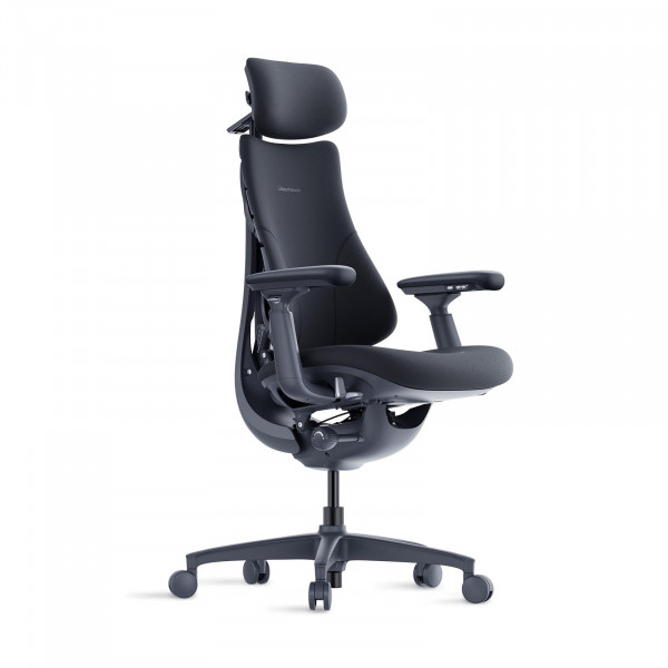 LiberNovo Silla de Oficina Ergonómica Dinámica - Cómoda Silla de Escritorio Ajustable con Soporte Lumbar Adaptable, Reclinación de 160° y Estiramiento de la Columna Incorporada para Comodidad de la Espalda, Oficina en Casa Uso Durante Largas Horas, Negro+