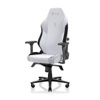 Silla para juegos Secretlab Titan Evo Artic White - Silla para computadora reclinable, ergonómica y cómoda con reposabrazos 4D, almohada magnética para la cabeza y soporte lumbar de 4 direcciones - Blanco - Tela