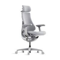 LiberNovo Silla de Oficina Ergonómica Dinámica - Cómoda Silla de Escritorio Ajustable con Soporte Lumbar Adaptable, Reclinación de 160° y Estiramiento de la Columna Incorporada para Comodidad de la Espalda, Oficina en Casa Uso Durante Largas Horas, Gris+4