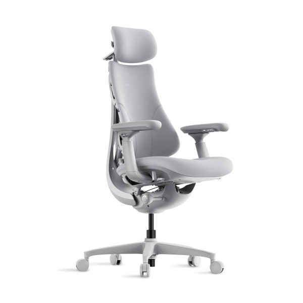 LiberNovo Silla de Oficina Ergonómica Dinámica - Cómoda Silla de Escritorio Ajustable con Soporte Lumbar Adaptable, Reclinación de 160° y Estiramiento de la Columna Incorporada para Comodidad de la Espalda, Oficina en Casa Uso Durante Largas Horas, Gris+4