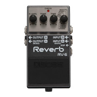 BOSS RV-6 Pedal de guitarra de reverberación (RV-6)