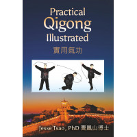 Qigong práctico ilustrado