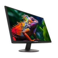 Sceptre Monitor Prime de 24 pulgadas Monitor LED delgado 1080p 99% sRGB 2x HDMI VGA Altavoces incorporados, negro máquina (Serie E248W-19203R 2025)