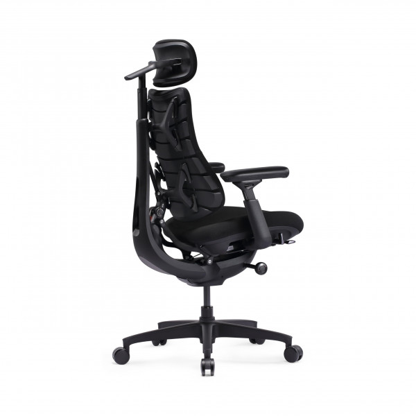 LiberNovo Omni SE Silla de Oficina Ergonómica Dinámica, Lumbar Manual, 48cm