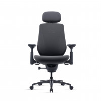 LiberNovo Maxis Silla de Oficina Ergonómica Eléctrica Grande y Alta, Grafito 52cm