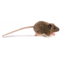 Hansa Ratón de Peluche, Marrón
