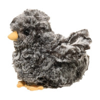 Peluche Douglas Black Multi Chick