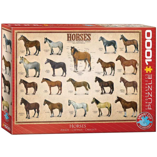 EuroGraphics Caballos Puzzle de 1000 piezas