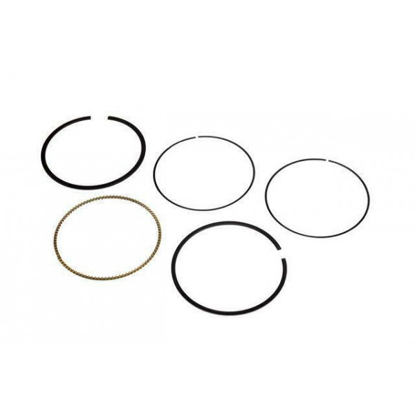 Genuine GM Ring Kit Pstn 19168090