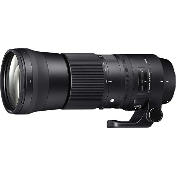 Sigma 150-600mm F5-6.3 DG OS HSM Zoom Lens (Contemporáneo) para cámaras Nikon DSLR (Renovado)