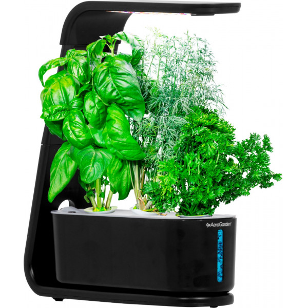 AeroGarden - Brote - Negro