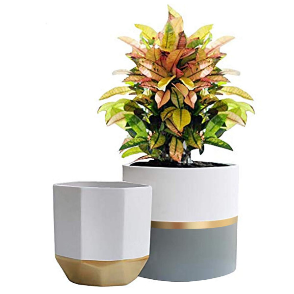 LA JOLIE MUSE Maceta de cerámica blanca para jardín, 6,7 pulgadas, paquete de 2 recipientes para plantas de interior con detalles dorados y grises