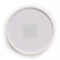 Microscopio en forma de red de 0.2 mm Ocular micrómetro en forma de neta Tasanías de regla de la regla de la regla de medición de microscopio para microscopio para microscopio para el ocular el ocular el diámetro de la lente de 19 mm